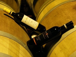 VINYES BINITORD DE MENORCA - Islas Baleares - Productos agroalimentarios, denominaciones de origen y gastronomía balear