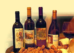 VINS MIQUEL GELABERT - Illes Balears - Productes agroalimentaris, denominacions d'origen i gastronomia balear