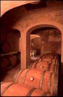 VINS NADAL - Illes Balears - Productes agroalimentaris, denominacions d'origen i gastronomia balear