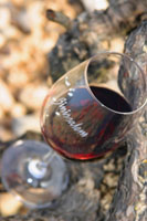 Binissalem - Illes Balears - Productes agroalimentaris, denominacions d'origen i gastronomia balear