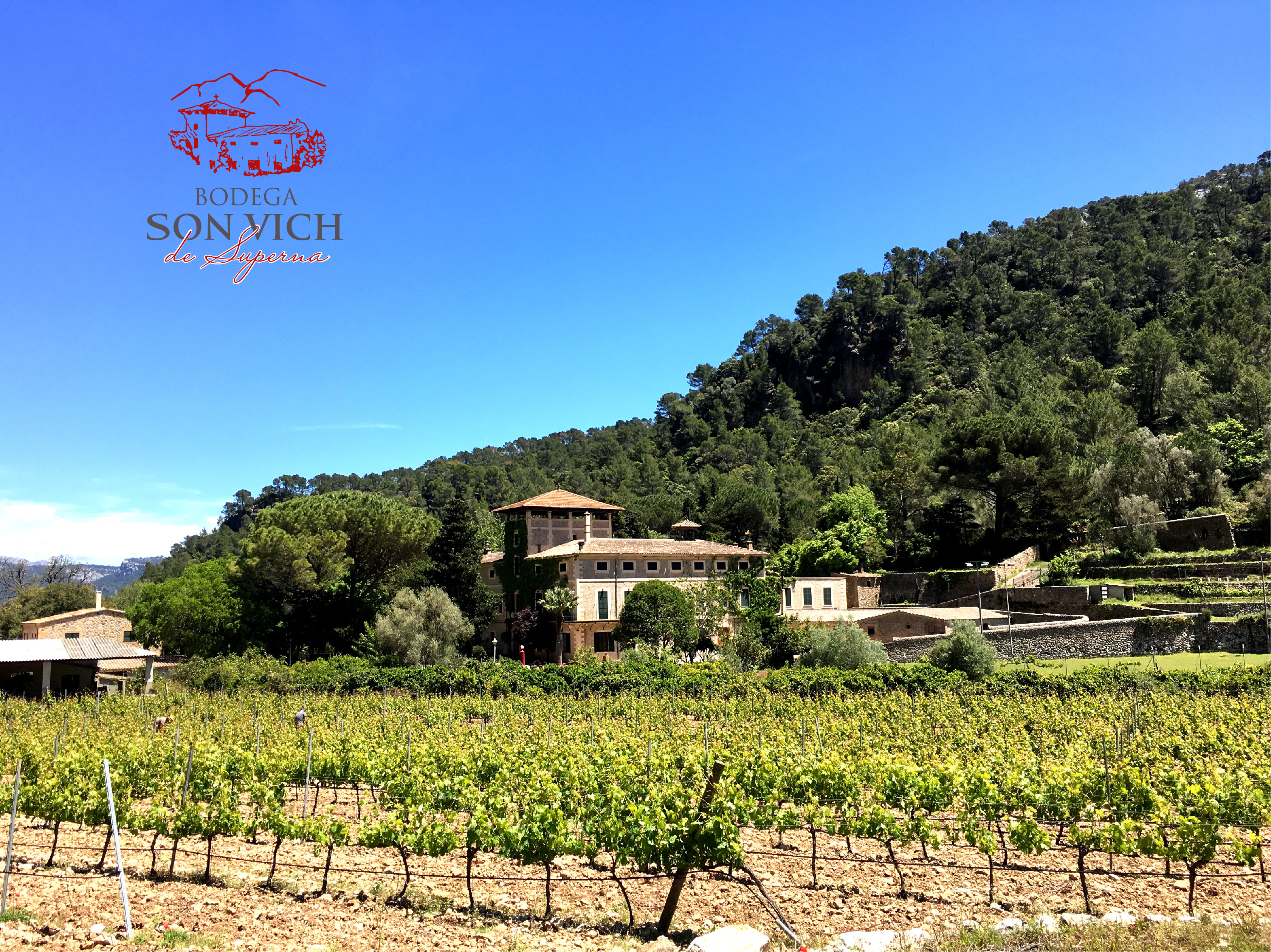 AGROPECUARIA SON VICH DE SUPERNA - Balearic Islands - Agrifoodstuffs, designations of origin and Balearic gastronomy