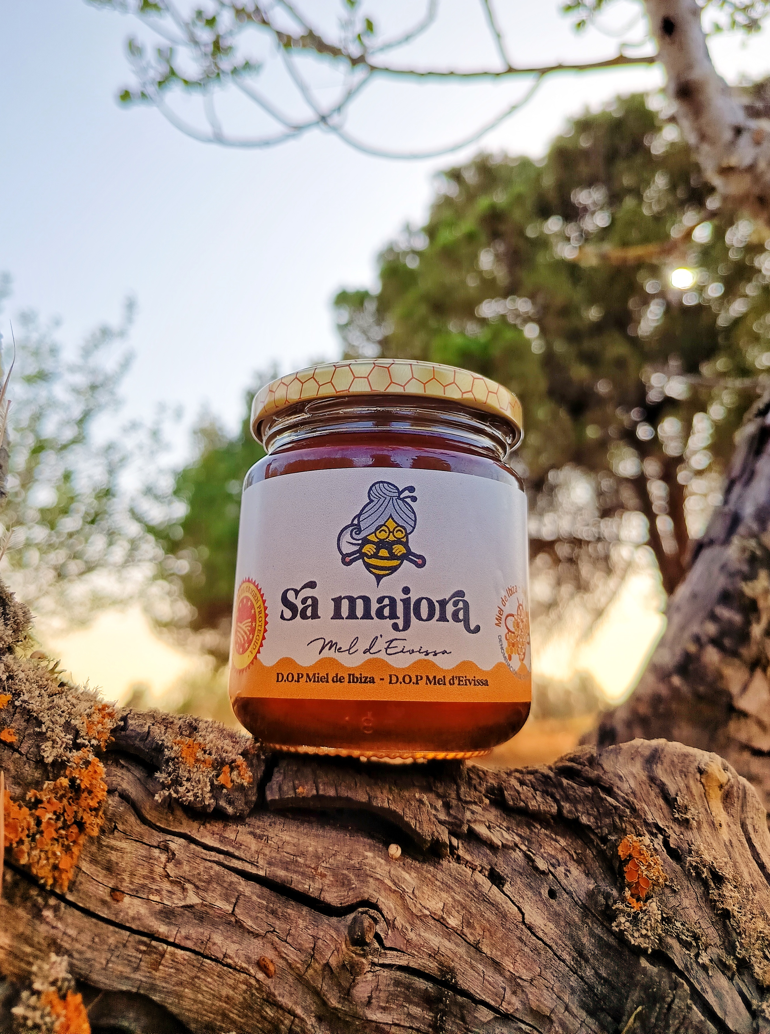 Sa Majora - Illes Balears - Productes agroalimentaris, denominacions d'origen i gastronomia balear